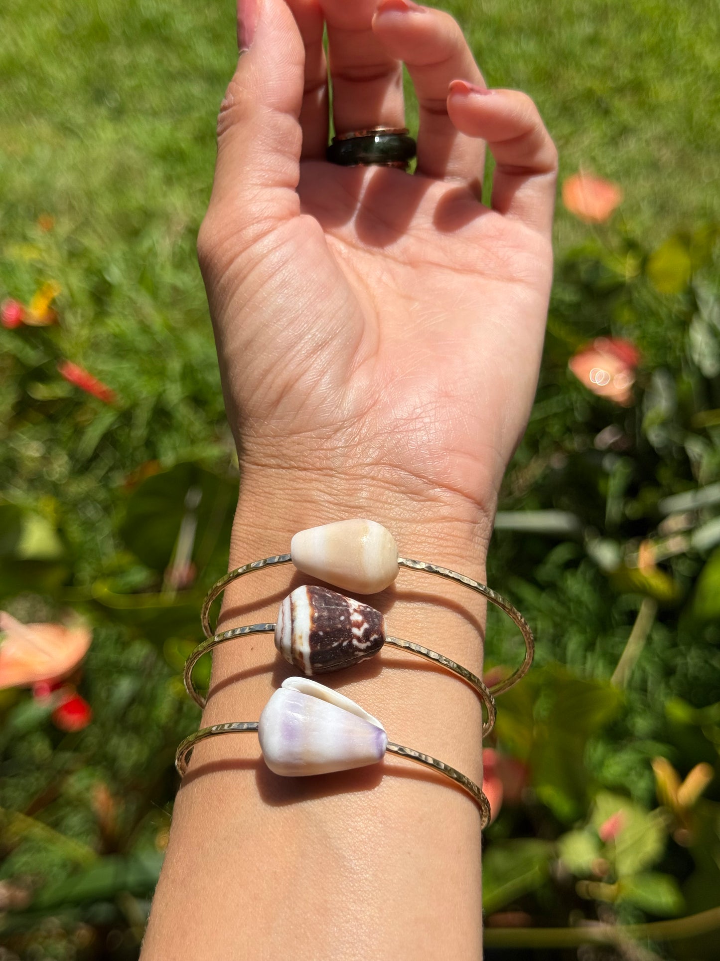 Adult cone shell bangle